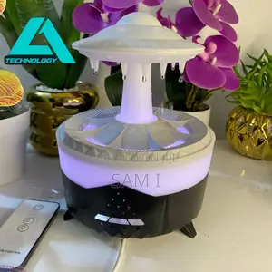 Aroma Diffuser Rain Cloud Humidifier Details