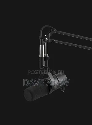 Shure SM7B Microphone