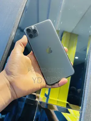 Apple iPhone 11 Pro Max 256 GB Gray