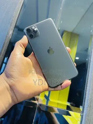 Apple iPhone 11 Pro Max 256 GB Gray