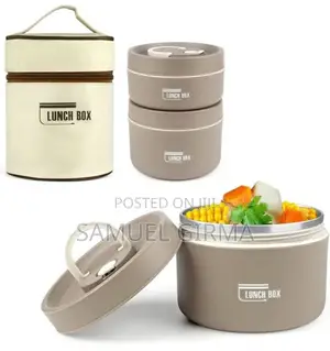 2pcs Isolated Lunch Box With Bag