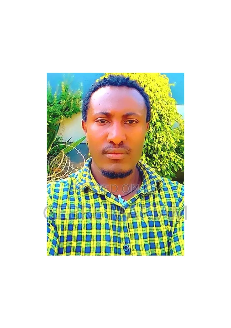 Online Sales and Promotion