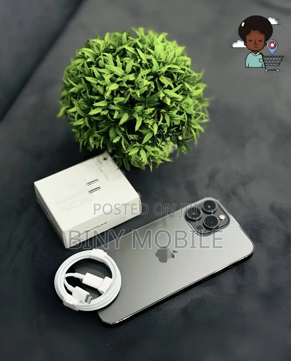 Apple iPhone 13 Pro Max 512 GB Gray