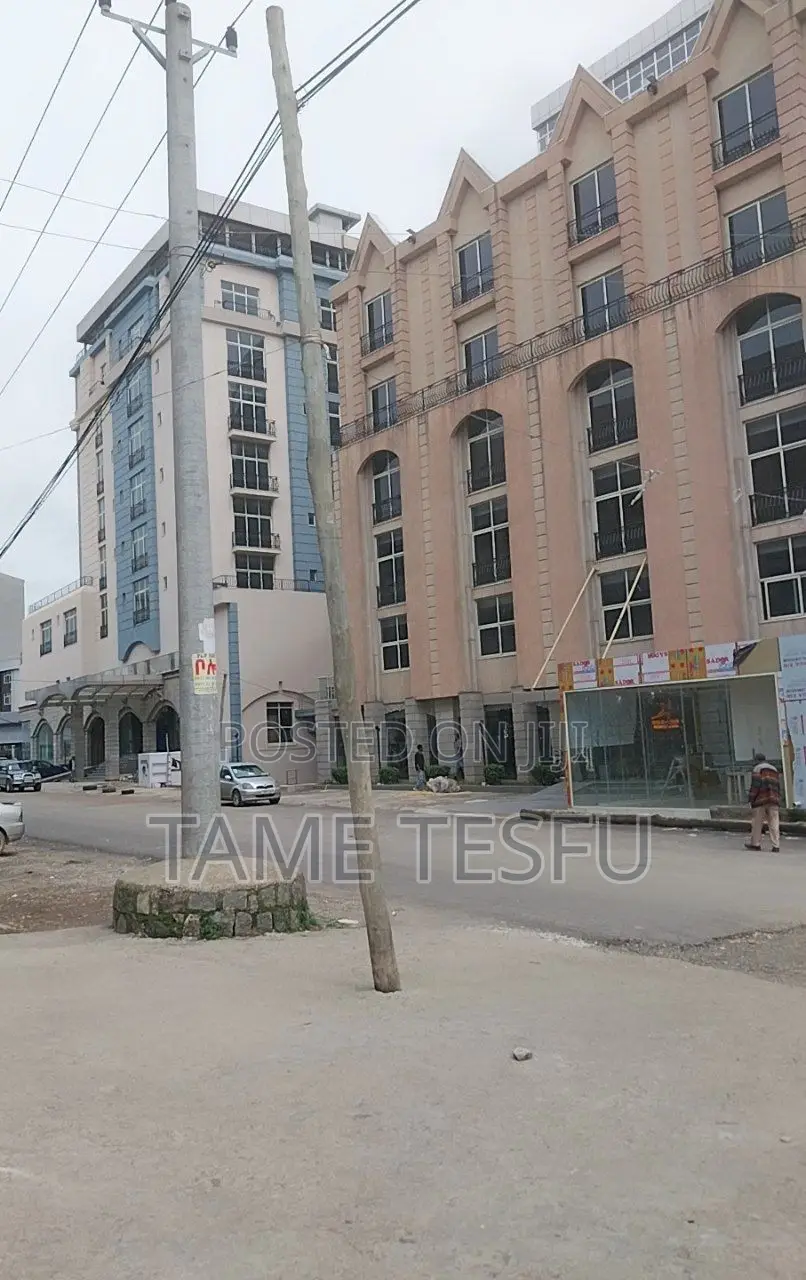 Furnished 20bdrm House in Guard Shola, Bole for sale