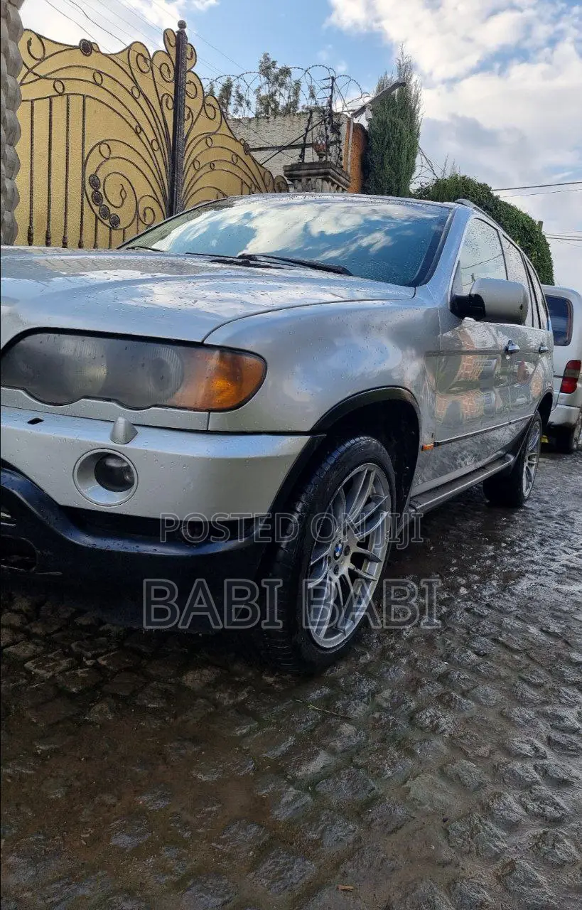 BMW X5 2001 Silver