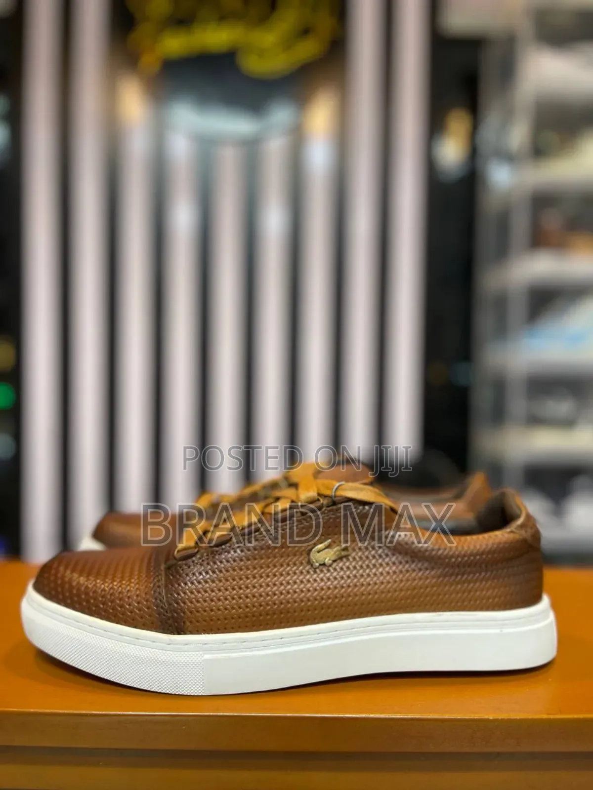 Lacoste Powercourt Premium Quality