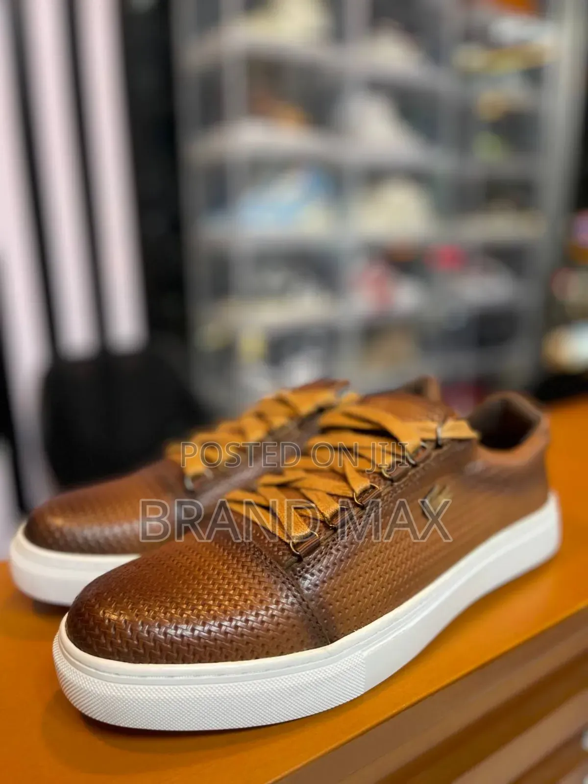 LACOSTE Premium Quality