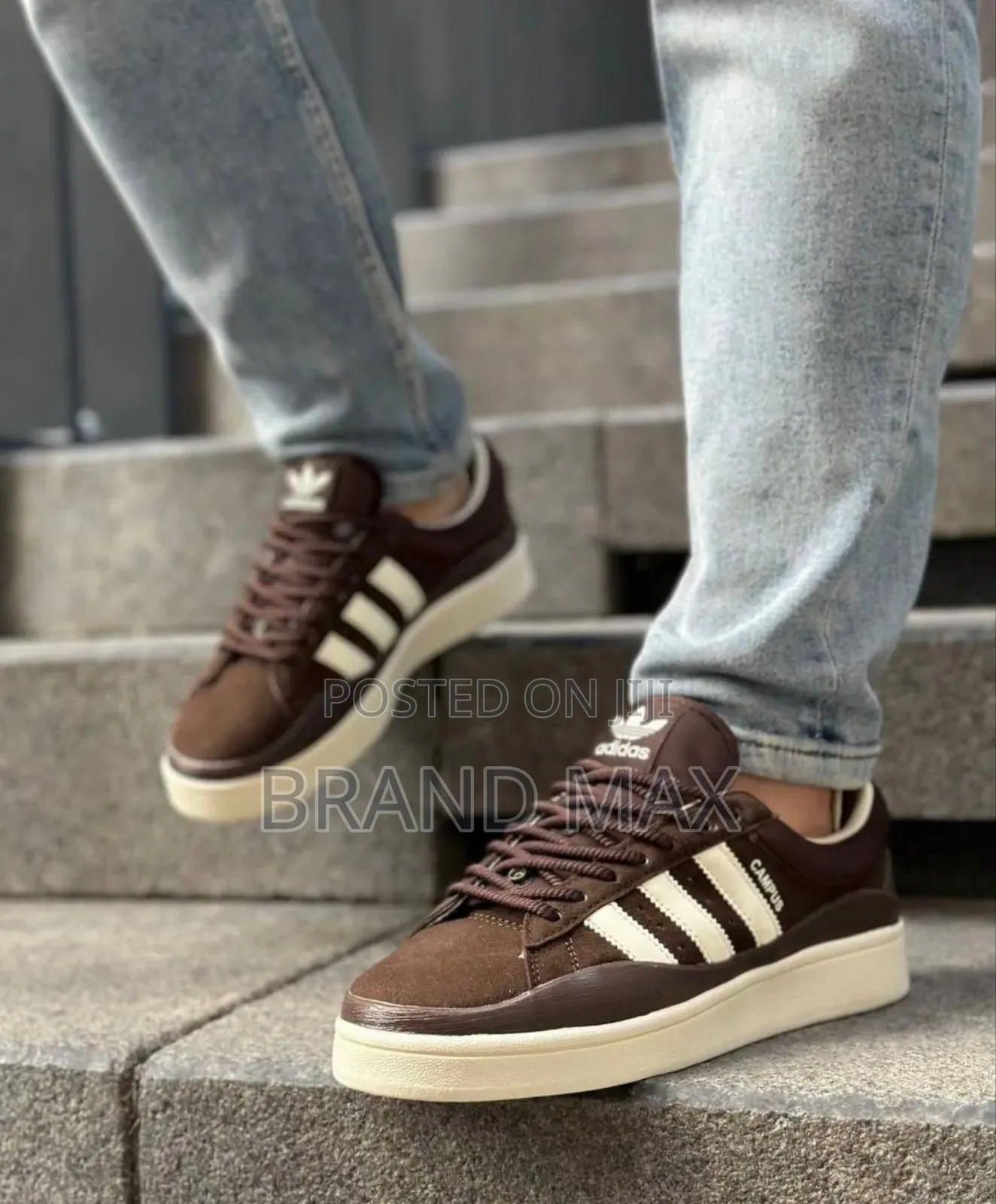 Adidas Campus Premium Quality