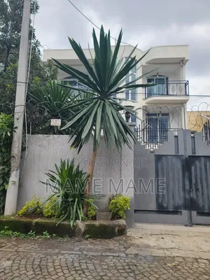 Photo - 10bdrm House in Addis Abeba, Bole for rent