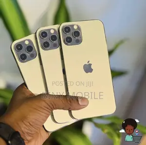 Apple iPhone 12 Pro 256 GB Gray