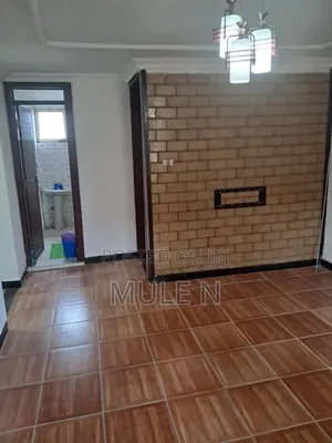 Furnished 2bdrm Condo in Ayat Tafoo, Yeka for sale