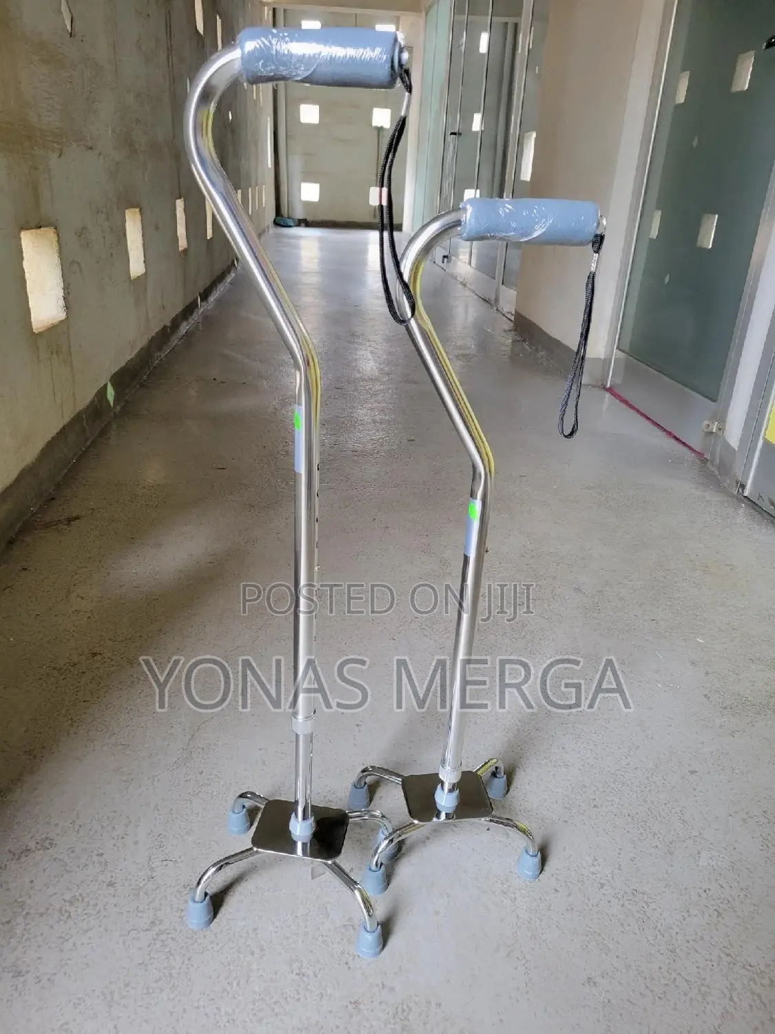 Four Legged/ከዘራ+Walking Stick Star Of Light+Height Levels