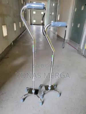 Four Legged/ከዘራ+Walking Stick Star Of Light+Height Levels