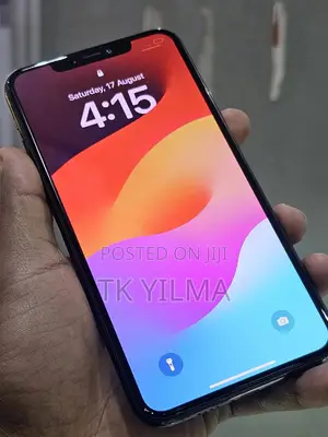 Apple iPhone 11 Pro Max 64 GB Gray