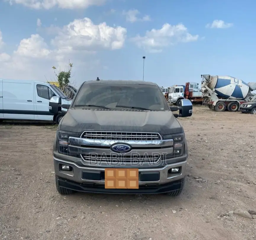 Ford F-150 2019 Gray