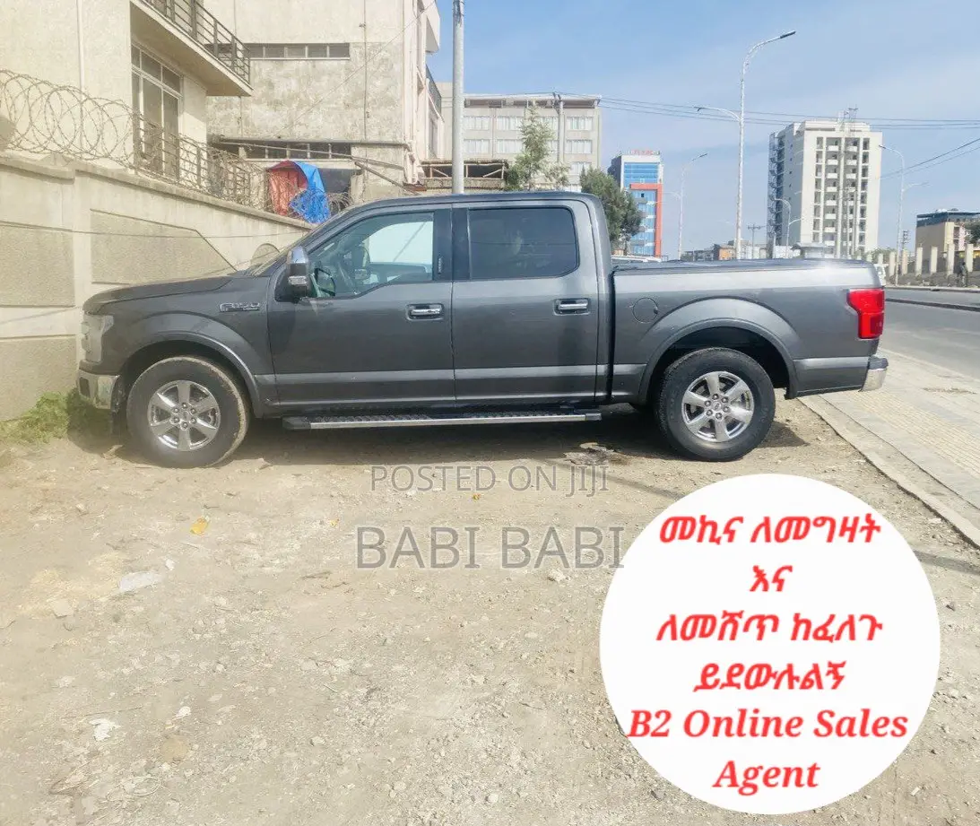 Ford F-150 2019 Gray