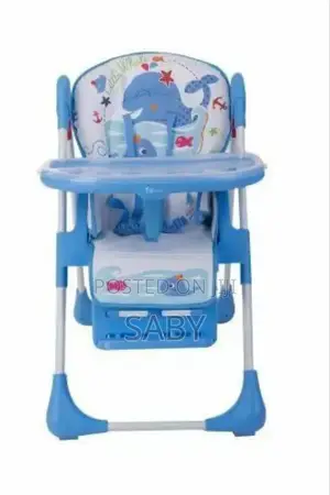 Sky Baby Multi Functional Baby