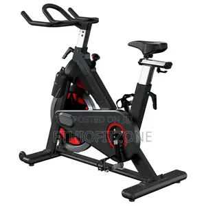 Exercise Spin Bike