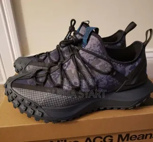 Photo - Adidas ACG Gortx Master Quality Shoes for You