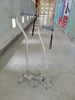 Photo - Walking Sticks for Patients Elderly Makes a Great Travel
