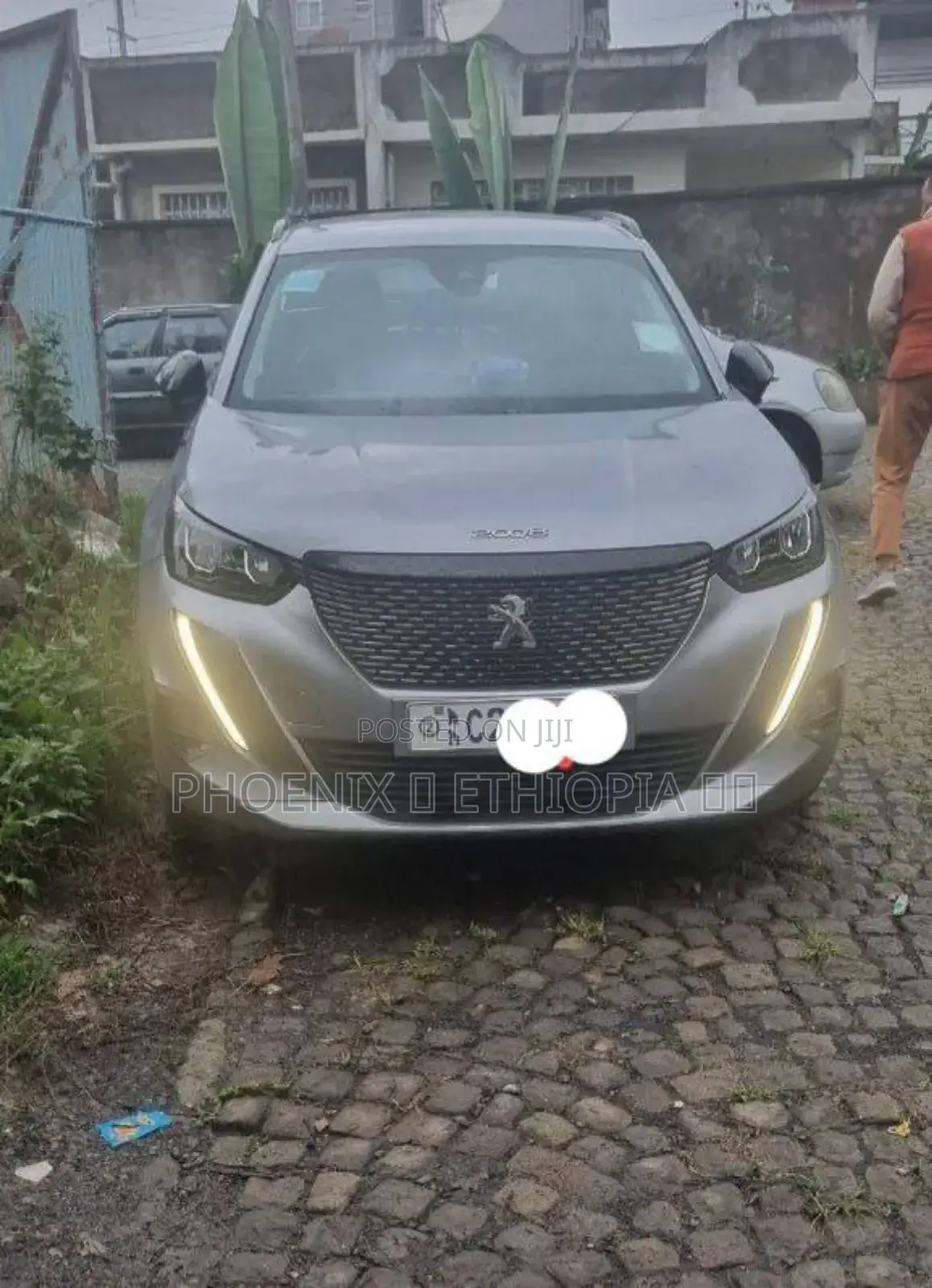 Peugeot 2008 2022 Silver