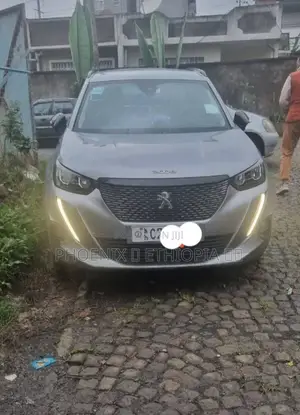 Peugeot 2008 2022 Silver