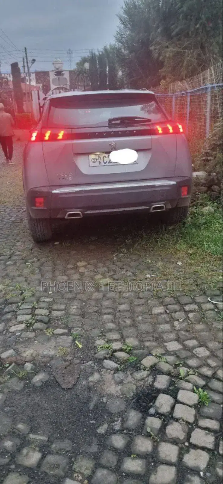 Peugeot 2008 2022 Silver
