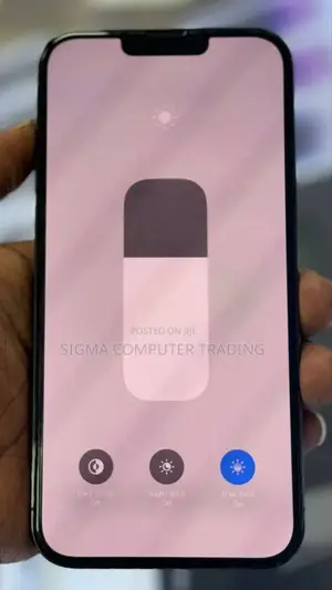 New Apple iPhone 13 Pro Max 256 GB Green