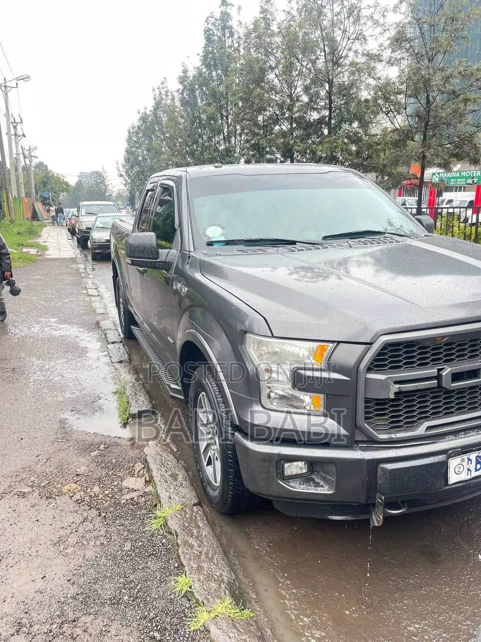 Ford F-150 2016 Gray