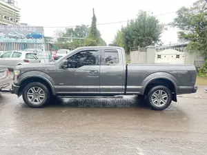 Ford F-150 2016 Gray