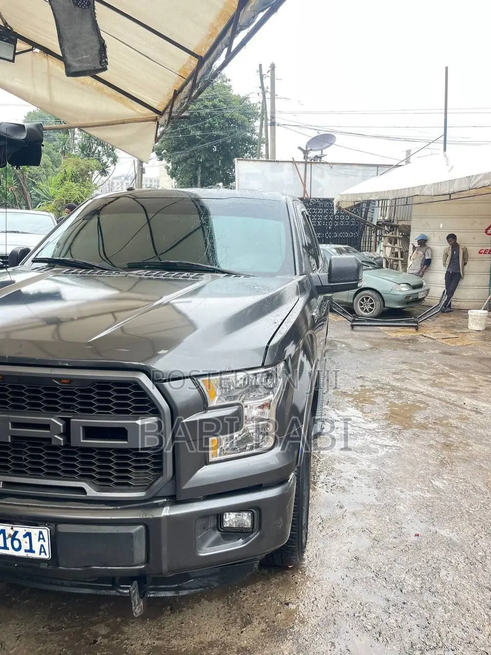 Ford F-150 2016 Gray