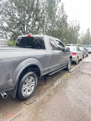 Ford F-150 2016 Gray