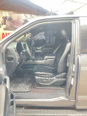 Ford F-150 2016 Gray