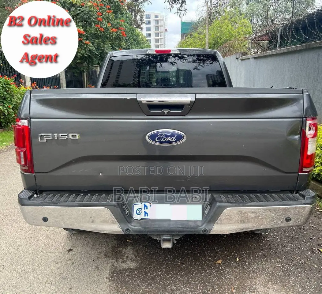 Ford F-150 2016 Gray