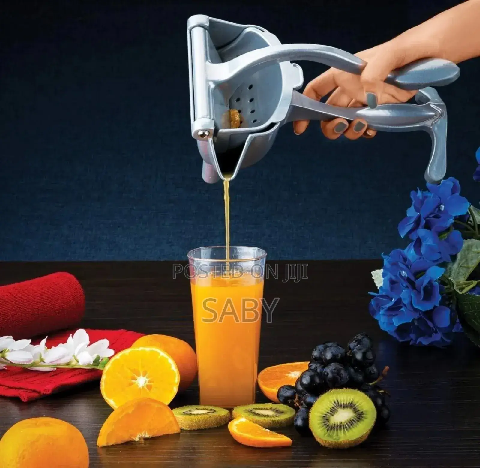 Manual Fruit Press Juicer