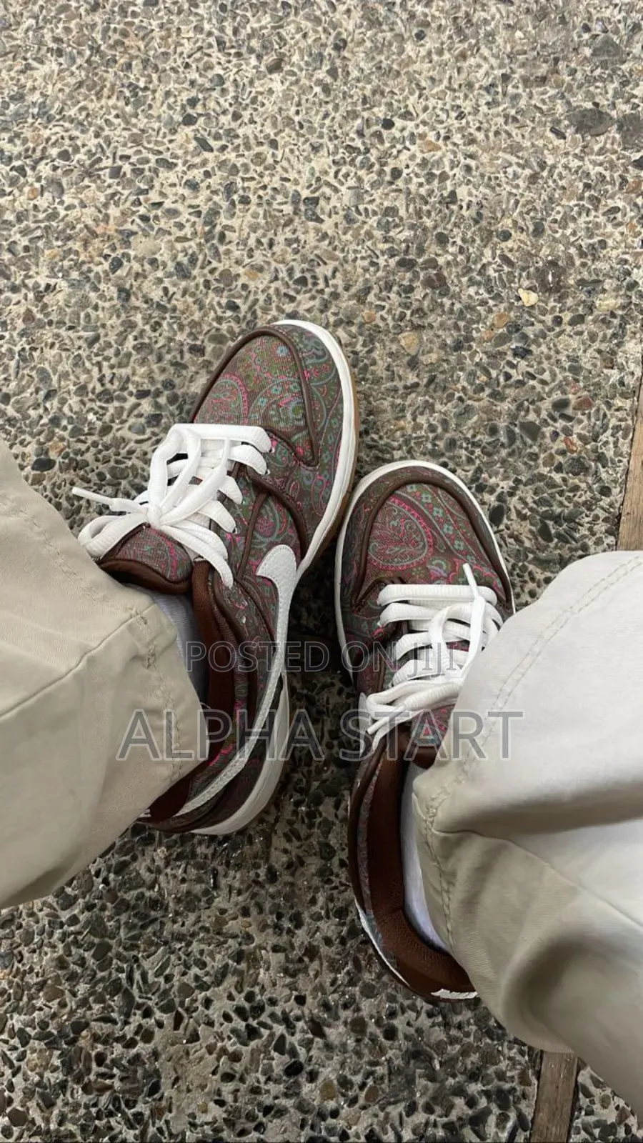 Nike Dunk Master Quality Shoes for You