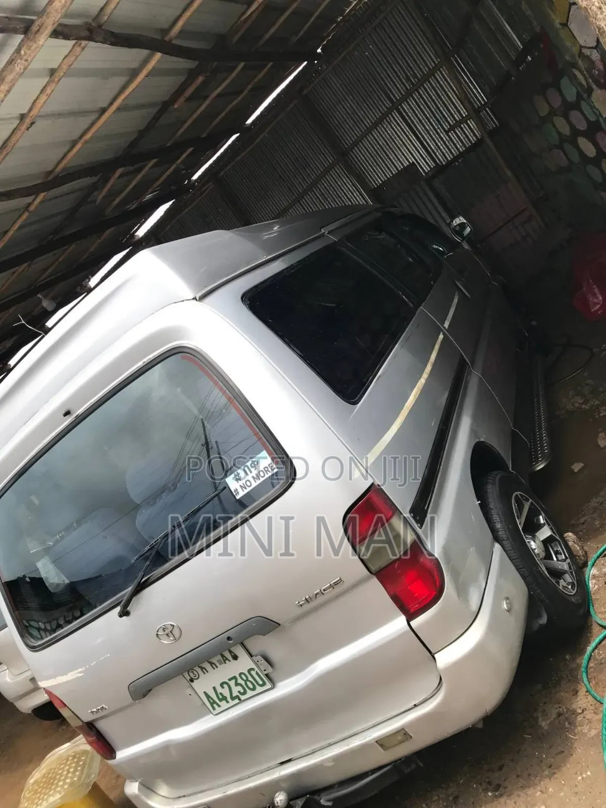 Luxury Dolphin for Rent