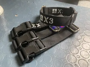 Photo - Dog Collars