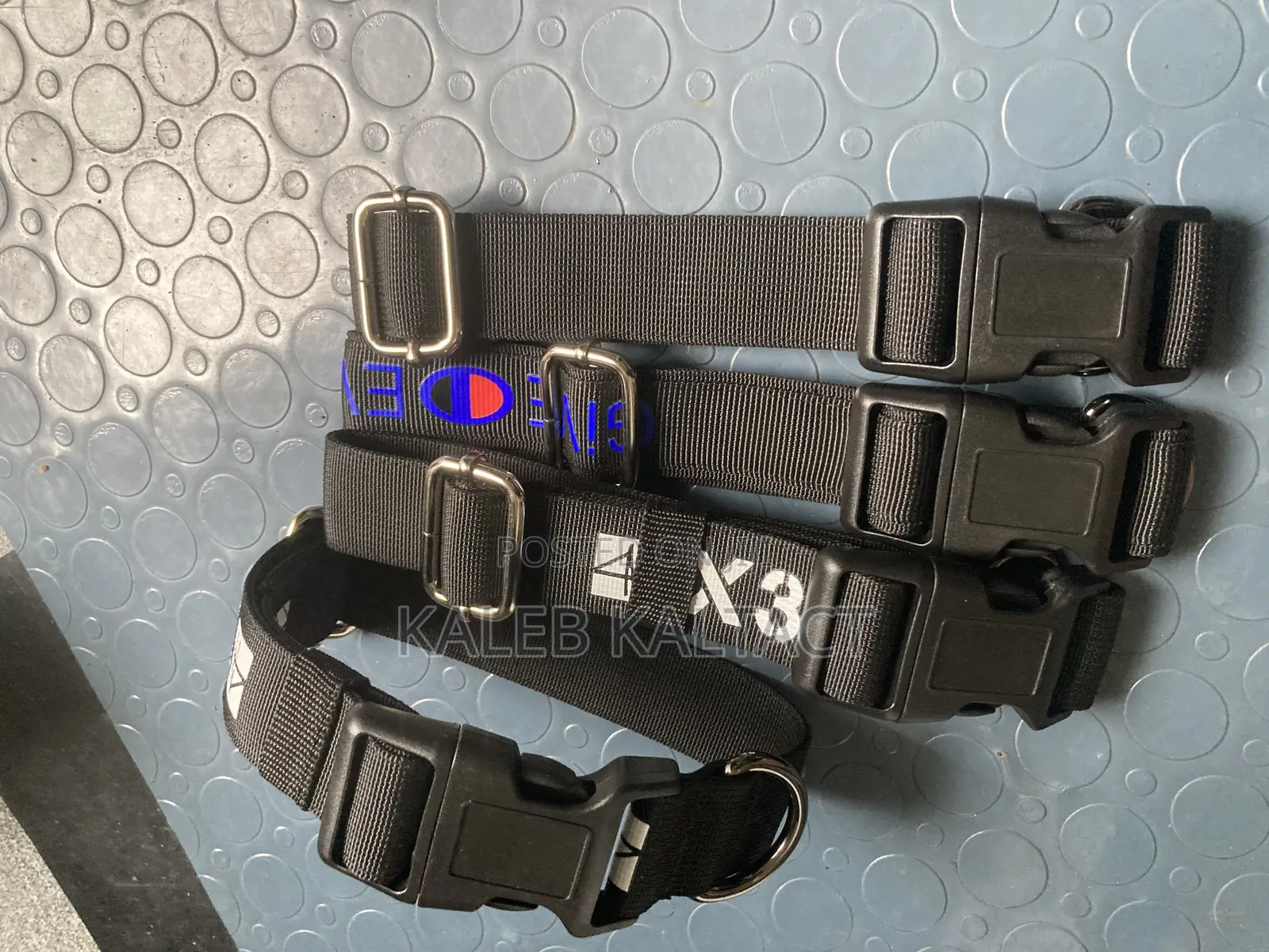 Dog Collars
