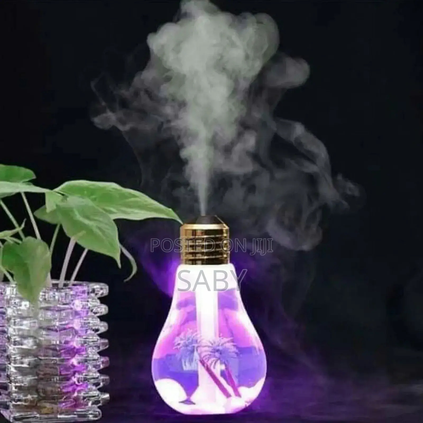 Light Bulb Humidifier