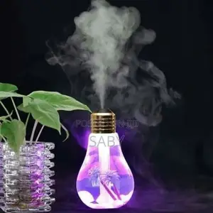 Photo - Light Bulb Humidifier
