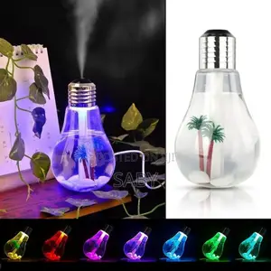 Light Bulb Humidifier