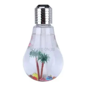 Light Bulb Humidifier