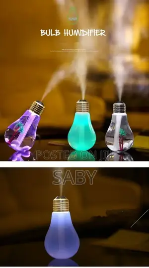 Light Bulb Humidifier