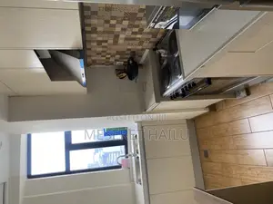 Furnished 3bdrm Apartment in Welo Sefer, Bole for rent