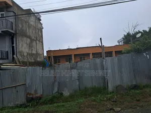 የሚሸጥ ሰርቢስ ቤት ያለው ቦታ