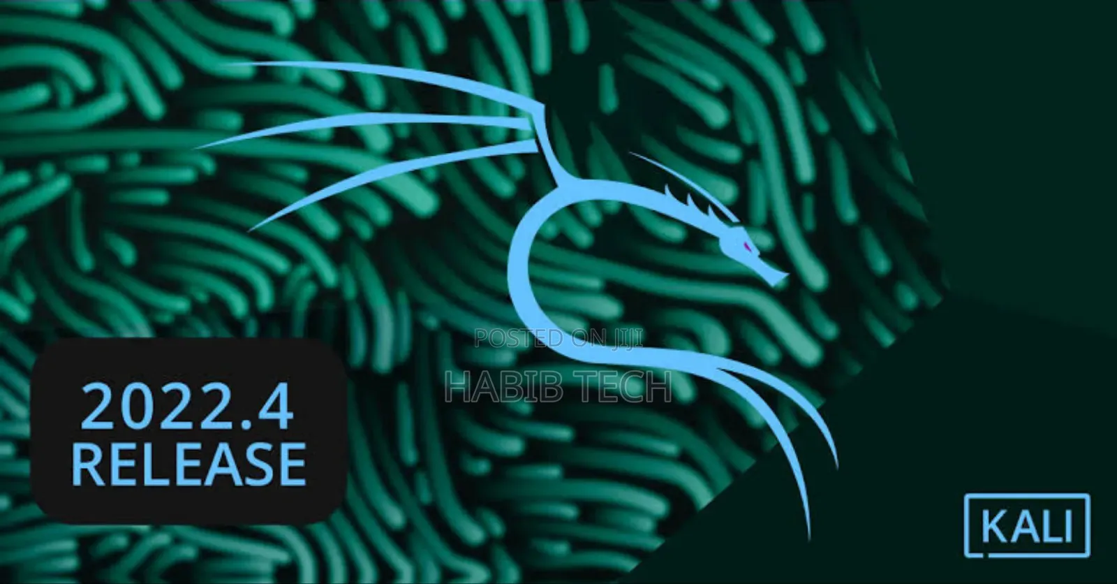 Kali Linux 2024