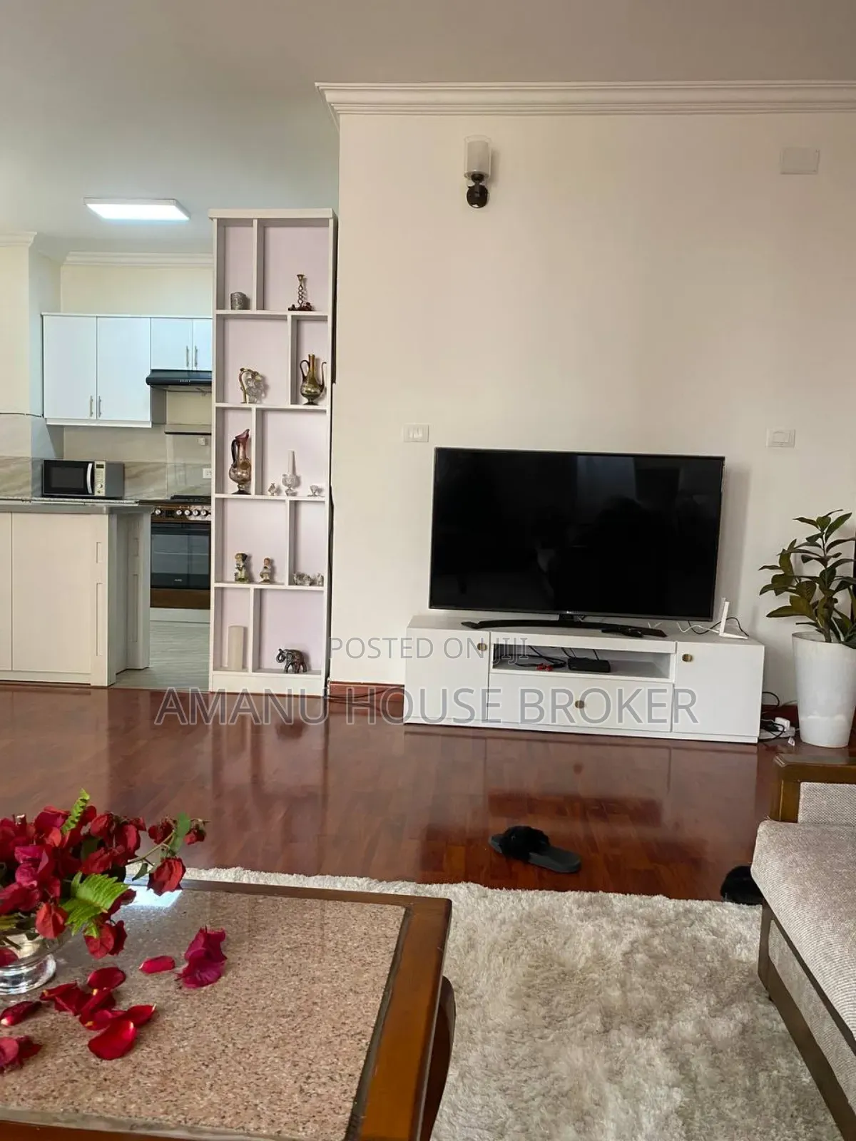 Furnished 3bdrm Apartment in Addis Abeba, Bole for rent