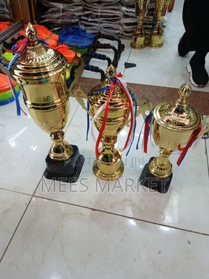 Award Trophy
Cup