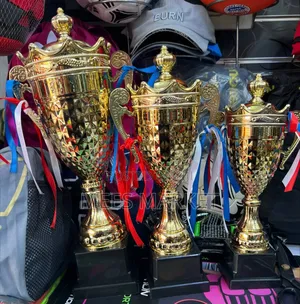 Award Trophy
Cup